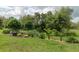Beautiful backyard lush green lawn with decorative plants and flamingo at 20025 Callisto Hill Pl, Tampa, FL 33647