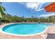 Beautiful community pool surrounded by lush landscaping, sun loungers, and shaded seating areas at 204 Haven Beach Ct, Indian Rocks Beach, FL 33785