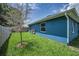 The backyard features a lush lawn with a small tree and a wooden fence. The exterior wall is painted blue at 2307 N 47Th St, Tampa, FL 33605