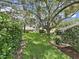Lush green backyard with beautiful mature tree and well-maintained landscaping at 3504 Wedge Way, New Port Richey, FL 34655