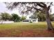 Backyard view of the white home surrounded by a lush green lawn and large trees at 38819 Otis Allen Rd, Zephyrhills, FL 33540