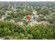 Scenic aerial view of a community neighborhood surrounded by mature trees at 4509 Grainary Ave, Tampa, FL 33624