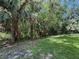 Overgrown backyard with mature trees and lush greenery offering privacy and a connection with nature at 5125 Palm Springs Blvd # 3108, Tampa, FL 33647