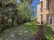 Backyard with a grassy lawn, mulched area, trees and side view of building at 5125 Palm Springs Blvd # 3108, Tampa, FL 33647