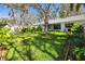 Green grass in the backyard, featuring a large shade tree at 944 San Carlos Ne Ct, St Petersburg, FL 33702