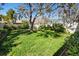 Landscaped backyard with a mature tree providing ample shade at 944 San Carlos Ne Ct, St Petersburg, FL 33702
