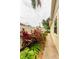 Beautiful landscaping along the side of the home with a brick paver sidewalk at 1051 Glynwood Pl, Dunedin, FL 34698