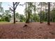 Rear view of home showing large backyard, deck, and storage shed at 10804 Bounty St, New Port Richey, FL 34654