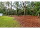 Large backyard with a mix of green grass and pine straw, with a storage shed visible at 10804 Bounty St, New Port Richey, FL 34654