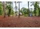Backyard featuring storage shed, home, deck and hot tub surrounded by towering trees at 10804 Bounty St, New Port Richey, FL 34654