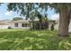 Expansive backyard with mature trees, screened patio, and privacy fence at 10905 Wildcat Dr, Riverview, FL 33579