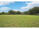 Lush green field in a community park perfect for sports, picnics, and outdoor activities at 10905 Wildcat Dr, Riverview, FL 33579