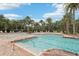 Stunning community pool surrounded by lush landscaping, palm trees and lounge chairs at 10905 Wildcat Dr, Riverview, FL 33579