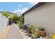 The paved side yard is beautifully landscaped, leading to the backyard patio area at 12026 Crestridge Loop, New Port Richey, FL 34655