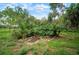 Beautiful landscaping in backyard featuring lush tropical plants at 1217 W Terrace Dr, Plant City, FL 33563