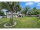 The backyard boasts a mature palm tree along with a patio featuring an awning at the rear of the house at 1312 S Evergreen Ave, Clearwater, FL 33756