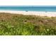 Picturesque beach view with lush dunes and greenery, offering a serene and natural coastal escape at 1380 Gulf Blvd # 805, Clearwater, FL 33767