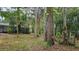Expansive backyard surrounded by lush greenery and mature trees at 17306 Livingston Ave, Lutz, FL 33559