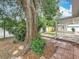Backyard with mature tree, brick pavers, and foliage at 1737 Prince Philip St, Clearwater, FL 33755