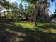 Spacious backyard with lush lawn and mature trees, offering privacy and a serene outdoor space at 2045 Summit Dr, Dunedin, FL 34698
