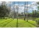 Scenic backyard view with lush green grass, mature trees, and a tranquil pond at 27209 Firebush Dr, Wesley Chapel, FL 33544