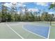 Multi-purpose tennis and basketball court perfect for sports enthusiasts in a beautiful outdoor setting at 27209 Firebush Dr, Wesley Chapel, FL 33544