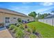 Well-maintained backyard features a manicured lawn, neat landscaping, and a white fence for privacy at 2847 Mossy Timber Trl, Valrico, FL 33596