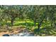 Picturesque view of a community park with mature trees and lush greenery at 2847 Mossy Timber Trl, Valrico, FL 33596