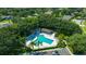 Aerial shot of the community pool area, with palm trees, lounge chairs, and ample parking at 2847 Mossy Timber Trl, Valrico, FL 33596