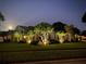 Beautifully illuminated home exterior at night, showcasing manicured landscaping and a screened-in pool area at 2847 Mossy Timber Trl, Valrico, FL 33596
