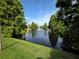 Community pond featuring a water feature surrounded by mature trees at 3053 Pointeview Dr, Tampa, FL 33611
