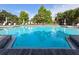 Community pool with deep blue water, lounge chairs, and mature palms at 3053 Pointeview Dr, Tampa, FL 33611