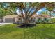 Beautiful home with a mature tree in the front yard and well-maintained landscaping at 7210 S Sparkman St, Tampa, FL 33616