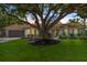 Charming single-story home with lush green lawn and mature shade tree in a desirable neighborhood at 7210 S Sparkman St, Tampa, FL 33616