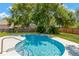 Backyard pool surrounded by lush greenery and a well-maintained lawn offers a relaxing outdoor space at 7210 S Sparkman St, Tampa, FL 33616