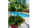 Relaxing pool area with lush landscaping offering a serene backyard retreat at 7210 S Sparkman St, Tampa, FL 33616