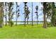 Picturesque backyard with tall trees provides a tranquil view of the lake and surrounding nature at 9827 Sorbonne Loop, Seffner, FL 33584