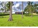 Expansive backyard with lush green lawn and mature trees, perfect for outdoor living and entertaining at 9827 Sorbonne Loop, Seffner, FL 33584
