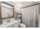 Cozy bathroom featuring a toilet, sink, mirror, shower with a curtain, and towel rack at 11809 Raintree Lake Ln # A, Tampa, FL 33617