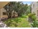 Expansive green lawn with mature trees and manicured landscaping, part of the property's outdoor space at 11809 Raintree Lake Ln # A, Tampa, FL 33617