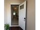 Bright entryway with white door, high ceilings, view into the living room, and neutral color scheme at 17304 Scuba Crest St, Wimauma, FL 33598