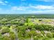 Wide angle aerial view of a residential community, featuring tree-lined streets and a variety of single-Gathering homes under a sunny sky at 17802 Mission Oak Dr, Lithia, FL 33547
