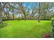 Expansive backyard featuring lush green grass and mature trees, offering a serene and private outdoor space at 17802 Mission Oak Dr, Lithia, FL 33547