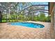 Inviting screened-in pool with attached spa offering a serene and private outdoor experience at 17802 Mission Oak Dr, Lithia, FL 33547
