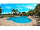 Beautiful community pool surrounded by lush tropical landscaping and comfortable lounge chairs at 2527 Terracina Dr, Venice, FL 34292