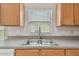 Close-up of kitchen sink area showcasing stainless steel sink, tile backsplash, and window view at 2609 Rosehaven Dr, Wesley Chapel, FL 33544