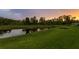 Scenic pond view with lush green grass, trees, and landscaping around the water at 3559 Maple Bay Ln, Land O Lakes, FL 34638