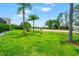 Well-manicured front yard featuring lush green grass and tropical palm trees at 3633 Morgans Bluff Ct, Land O Lakes, FL 34639