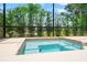 Relaxing spa with lush outdoor views with covered screen at 3633 Morgans Bluff Ct, Land O Lakes, FL 34639