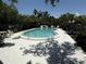 Clean community pool surrounded by a large deck, seating and lush trees offering shade at 5084 Barrington Cir # 3202, Sarasota, FL 34234